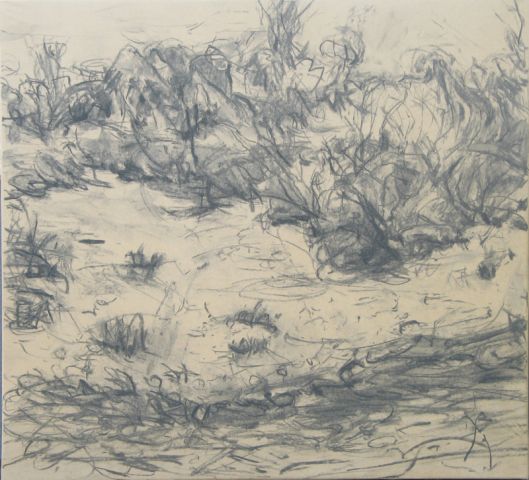 S. Grauf, Reka Drava, 2009, oglje na ovojnem papirju (foto arhiv avtorja) S.Grauf_Reka Drava_ 2009